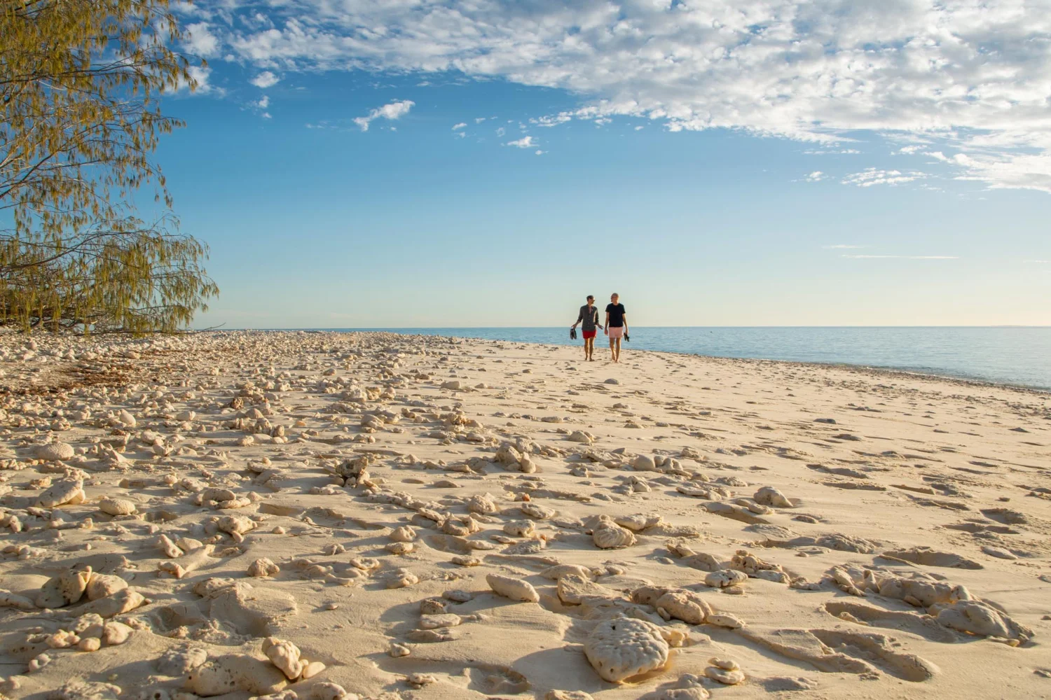 Wilson Island - Great Barrier Reef - Beachwalk - TEQ