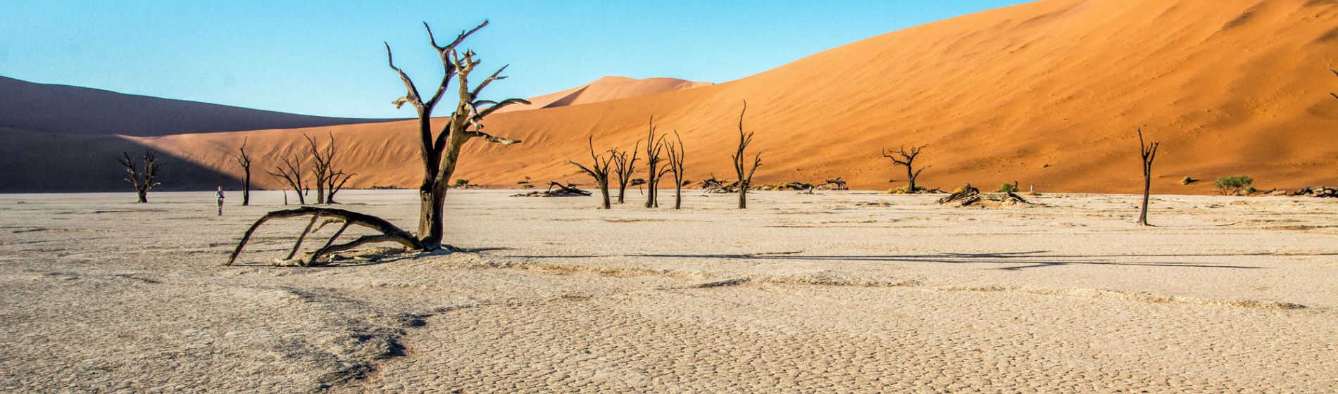 afrika_dead_vlei_1_aaron_clare.jpg