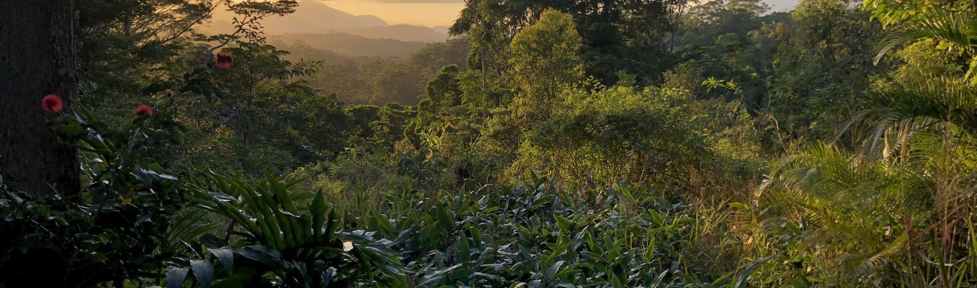 atherton_tablelands_view_from_rosegums_1.jpeg