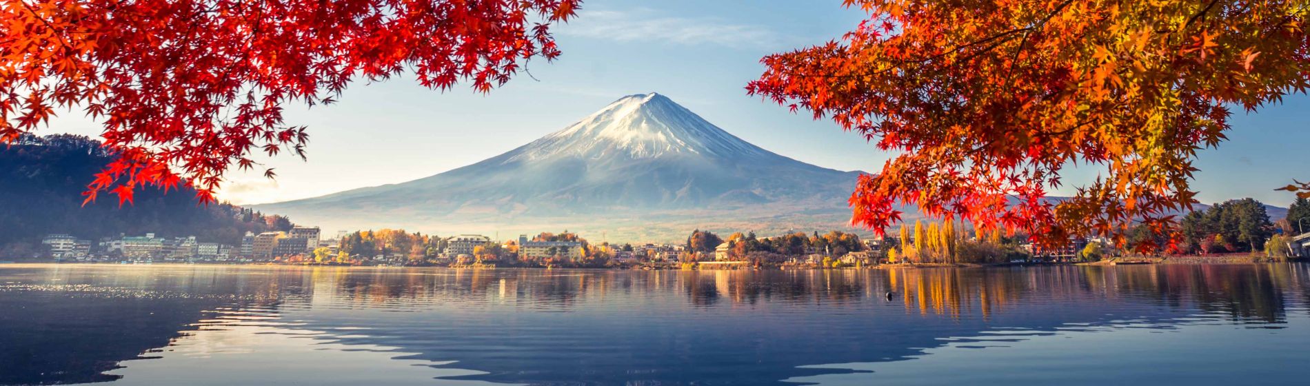 bunte_herbstsaison_und_berg_fuji_.jpg