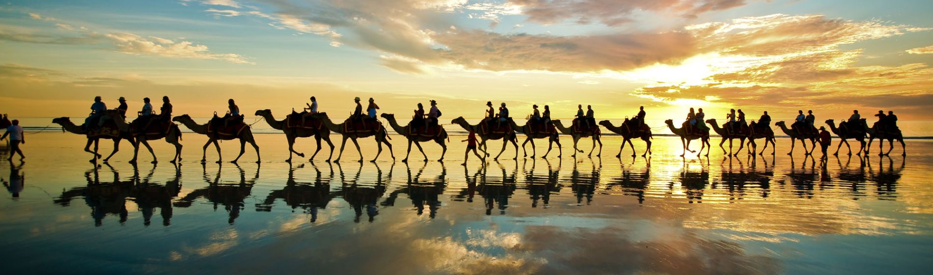 camels_on_cable_beach.jpg