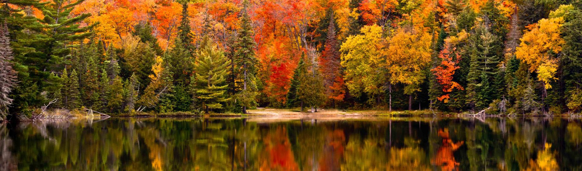 canisbay_lake_algonquin_provincial_park_ontario_kanada.jpg