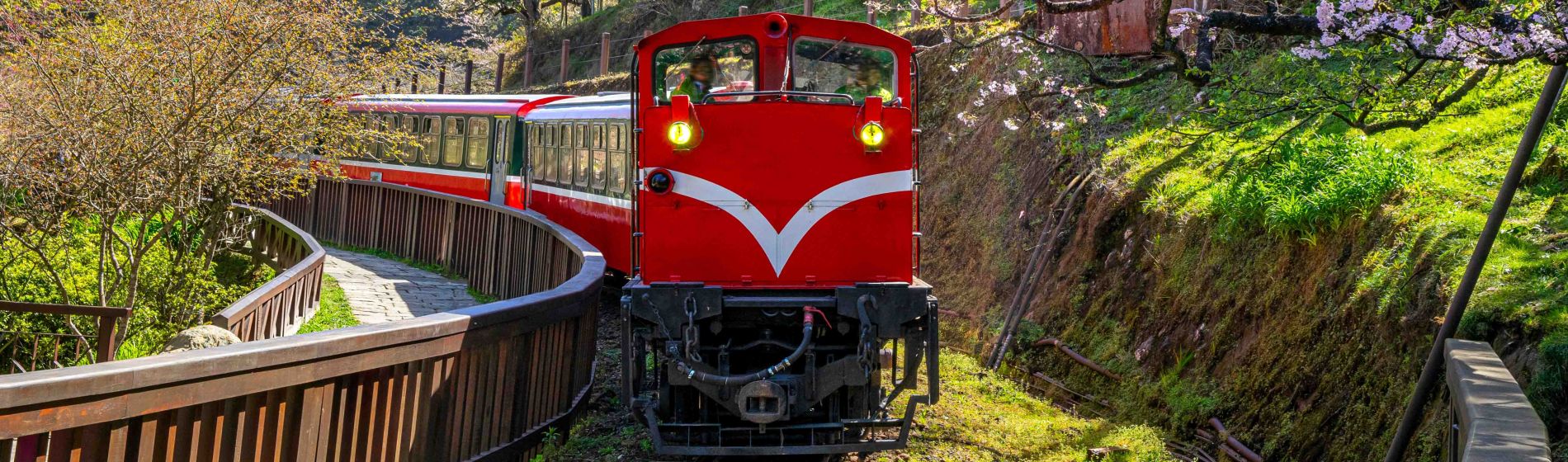 eisenbahn_in_alishan_waldreaktionsgebiet_in_taiwan.jpg