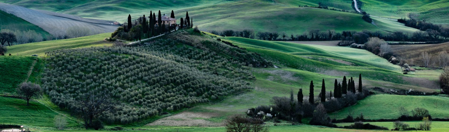 italy_tuscany_1_aaron_matzinger.jpg