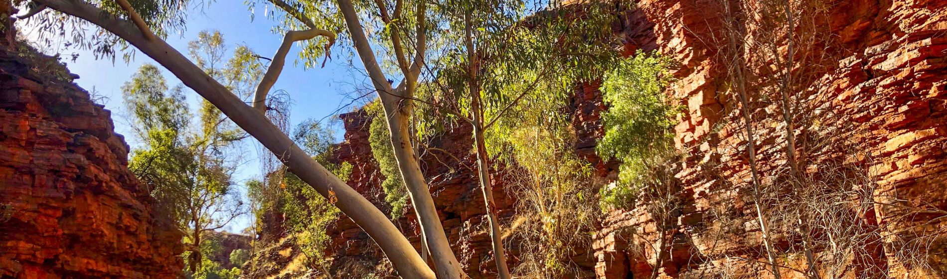 karijini-in-a-gorge-beauty_clare_walker_aaron_matzinger.jpg