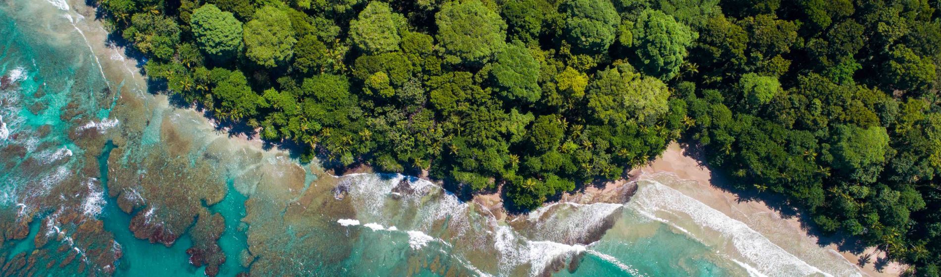 luftbild_vom_strand_in_costa_rica_in_der_karibik_zwischen_puerto_viejo_und_manzanillo.jpg