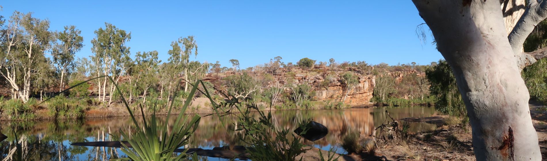 manning_gorge_-_gibb_river_road.jpg