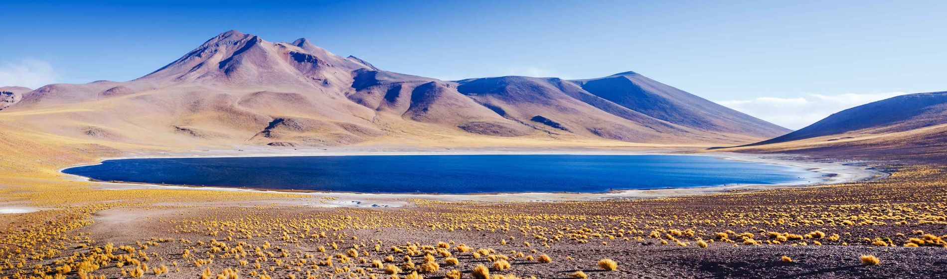 miscanti-see_im_hochland_chiles_nahe_san_pedro_de_atacama.jpg