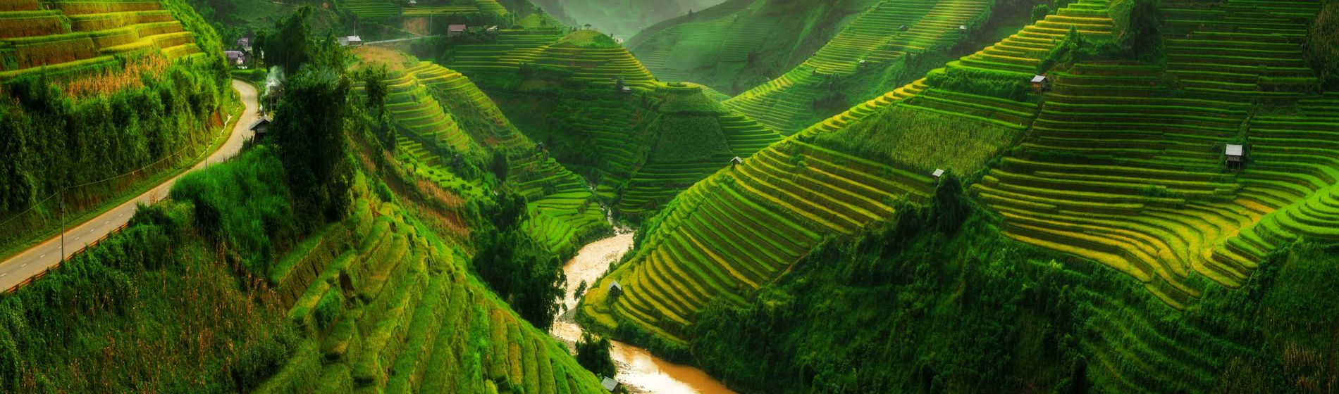 mu_cang_chai_landschaftlich_terrassenfoermig_angelegter_reisfeld_in_der_naehe_von_sapa_nordvietnam.jpg