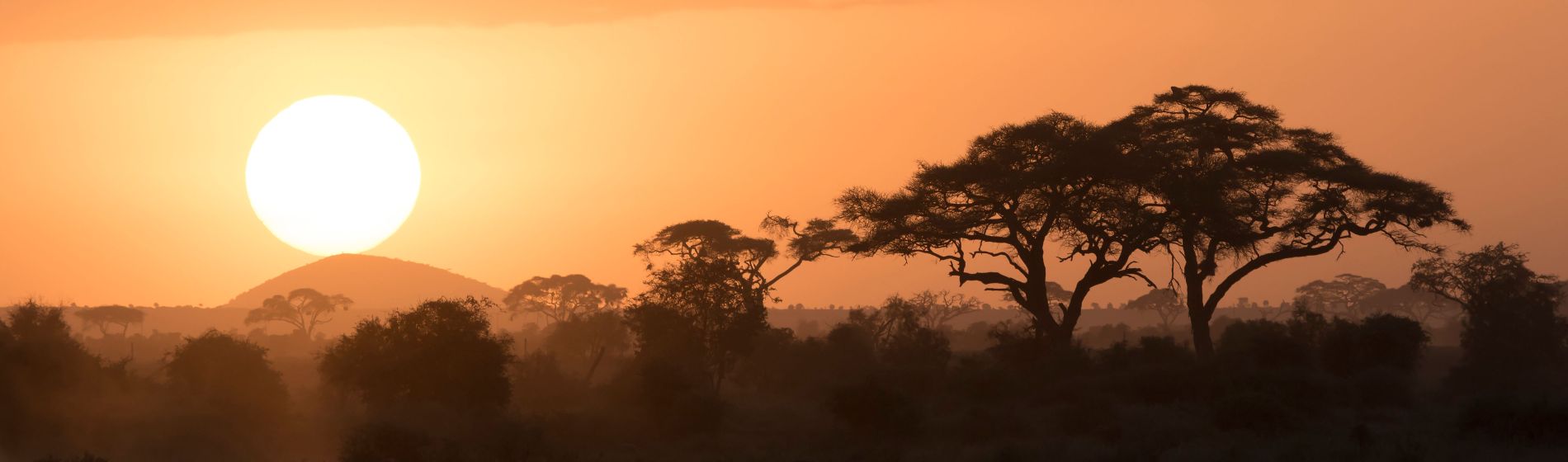 natur_uganda_trocken.jpg