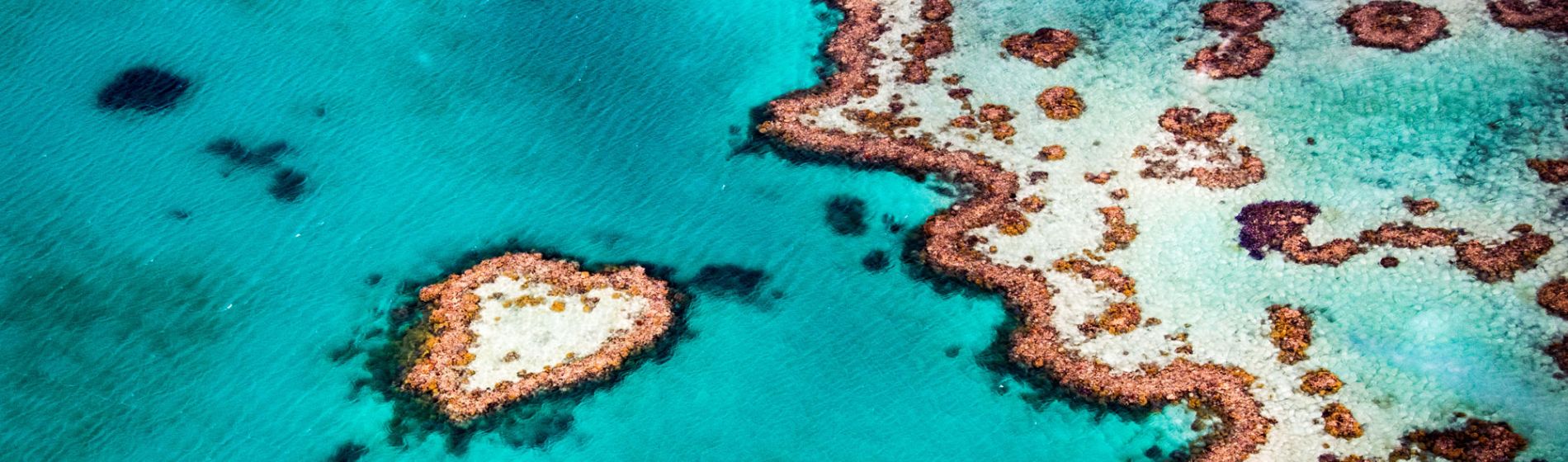 qld_north_heart_reef_clare_walker.jpg