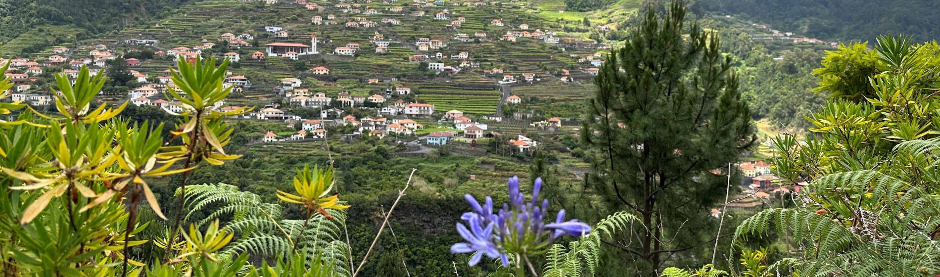 sao_vicente_-_madeira_header.jpg