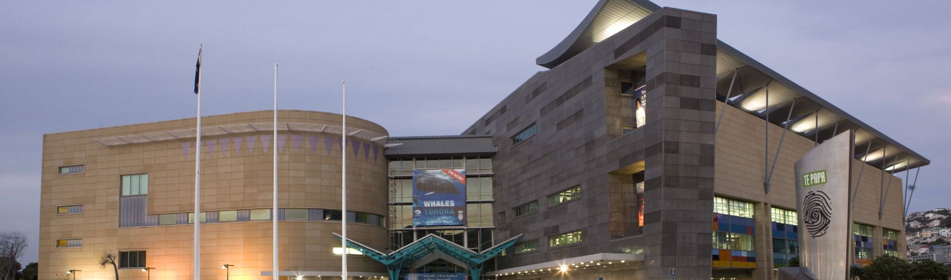 te-papa-museum.jpg