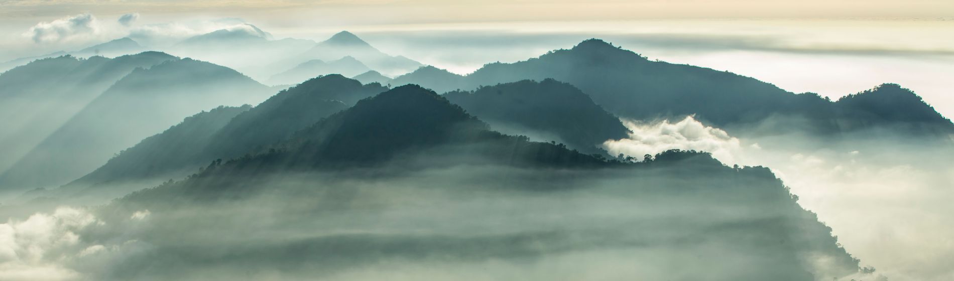 teegebiet_von_oolong_auf_dem_berg_von_alishan_.jpg