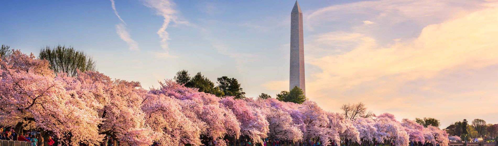 washington_monument.jpg