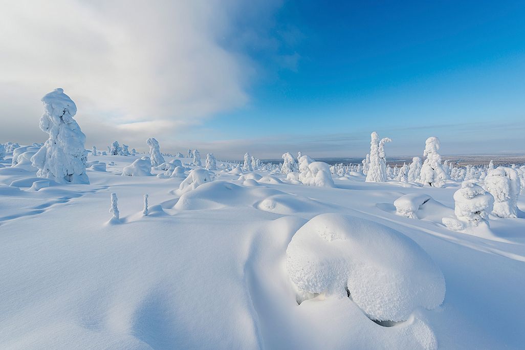 Nordische Winterträume