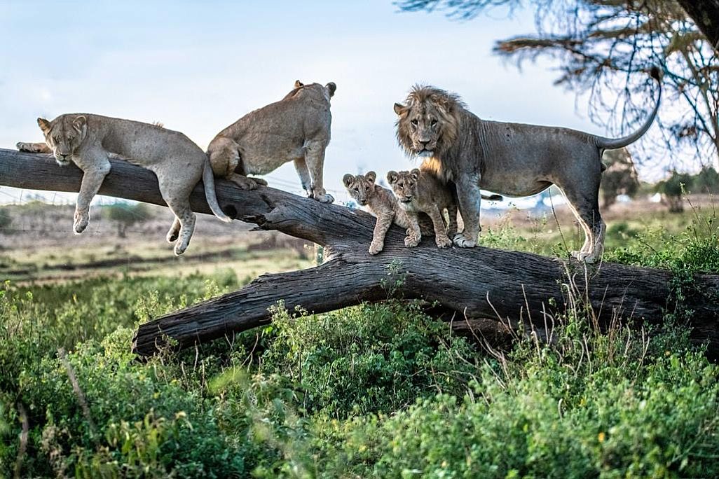 Kenya, Ostafrika