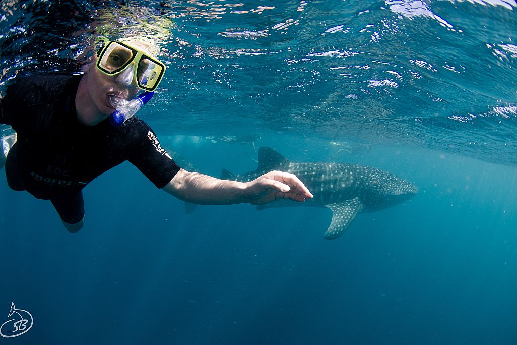 Ningaloo Reef, Westaustralien