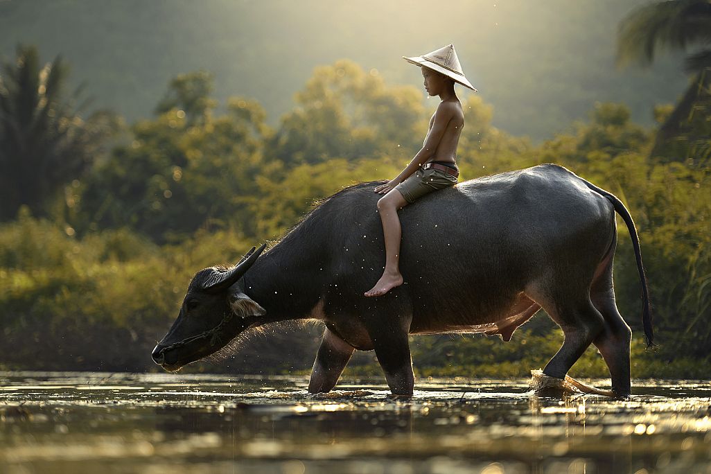 Entdeckungen im Land der Khmer