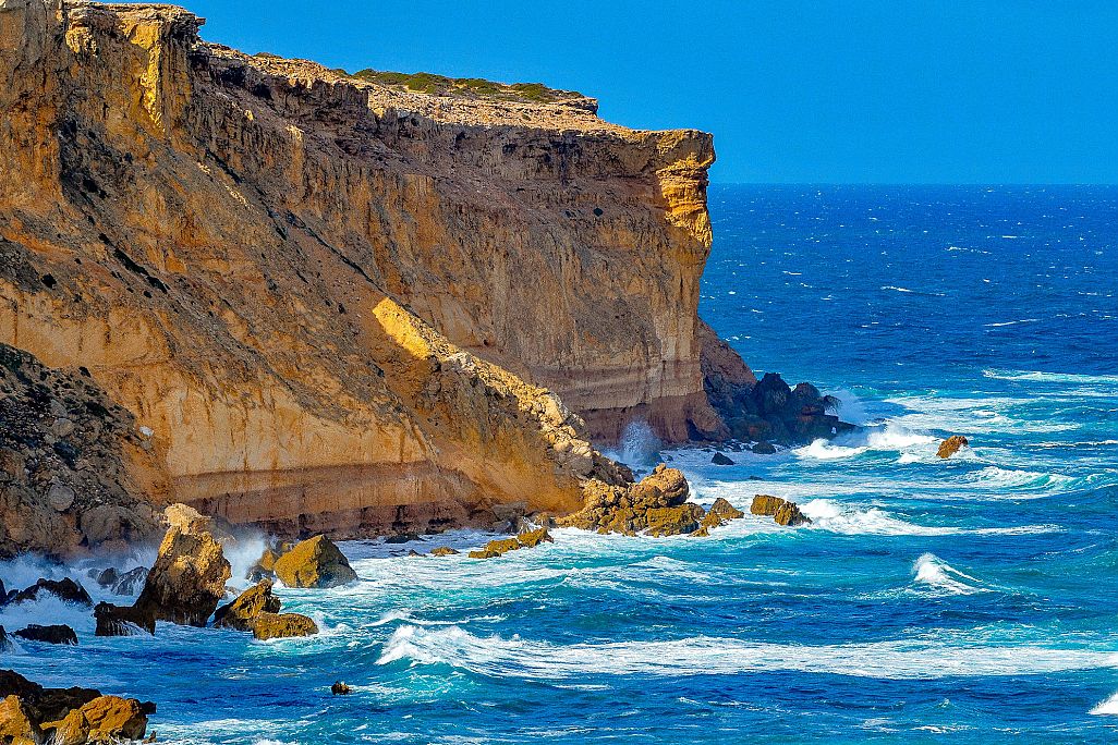 Seelöwen, Koalas & Nullarbor